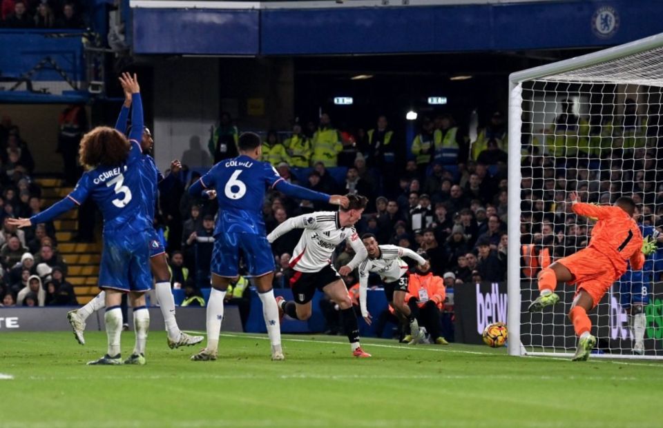 马背上的共生：马术里的优雅与默契